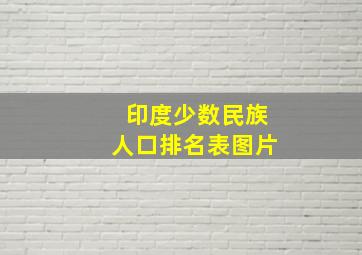 印度少数民族人口排名表图片