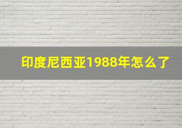 印度尼西亚1988年怎么了