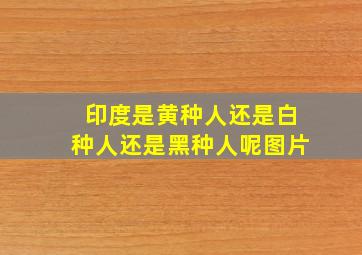 印度是黄种人还是白种人还是黑种人呢图片