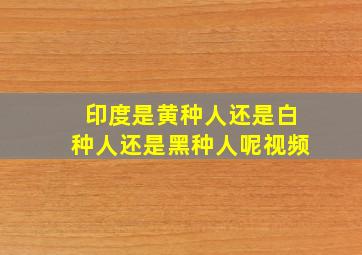 印度是黄种人还是白种人还是黑种人呢视频