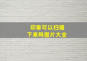 印章可以扫描下来吗图片大全