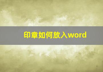 印章如何放入word