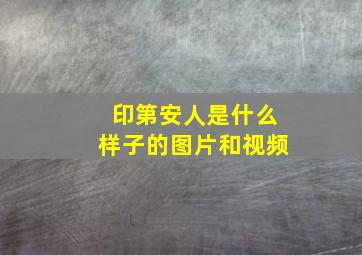 印第安人是什么样子的图片和视频