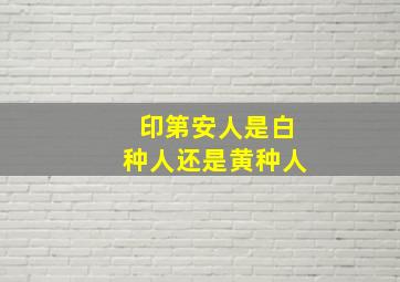 印第安人是白种人还是黄种人