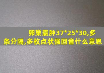 卵巢囊肿37*25*30,多条分隔,多枚点状强回音什么意思