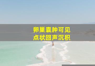 卵巢囊肿可见点状回声沉积