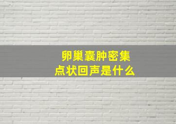 卵巢囊肿密集点状回声是什么