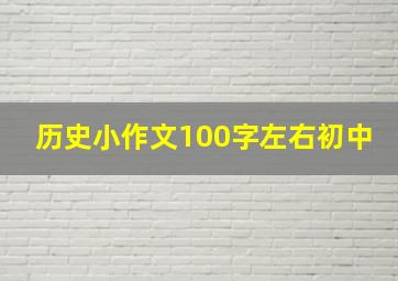 历史小作文100字左右初中