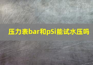 压力表bar和pSi能试水压吗