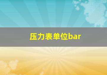 压力表单位bar