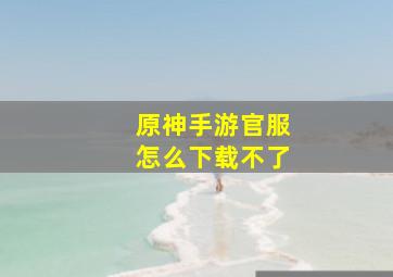 原神手游官服怎么下载不了