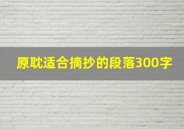 原耽适合摘抄的段落300字