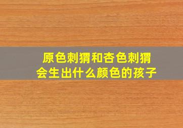 原色刺猬和杏色刺猬会生出什么颜色的孩子