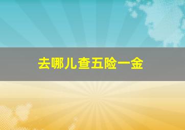 去哪儿查五险一金