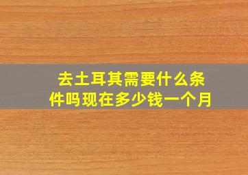 去土耳其需要什么条件吗现在多少钱一个月