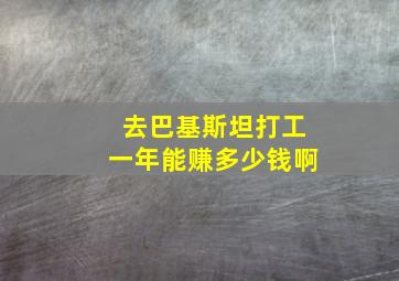 去巴基斯坦打工一年能赚多少钱啊