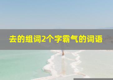 去的组词2个字霸气的词语