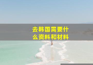 去韩国需要什么资料和材料