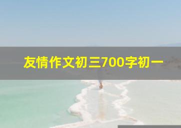 友情作文初三700字初一