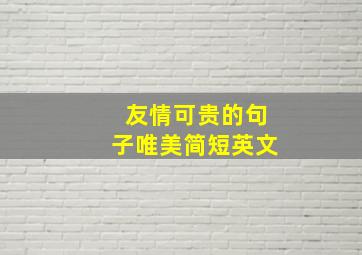 友情可贵的句子唯美简短英文