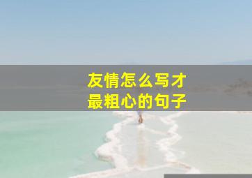 友情怎么写才最粗心的句子