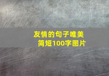 友情的句子唯美简短100字图片