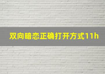 双向暗恋正确打开方式11h