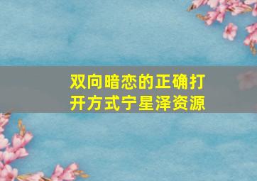 双向暗恋的正确打开方式宁星泽资源