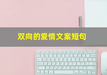 双向的爱情文案短句