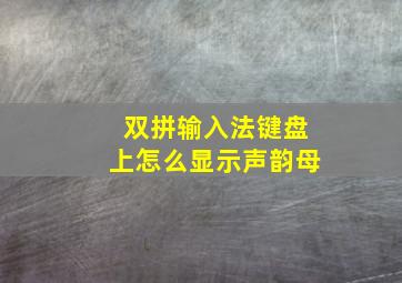 双拼输入法键盘上怎么显示声韵母