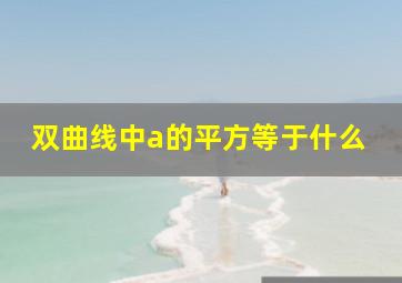 双曲线中a的平方等于什么