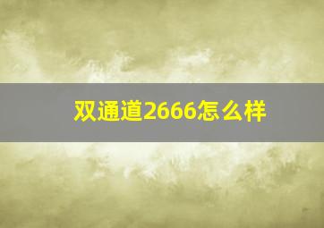 双通道2666怎么样