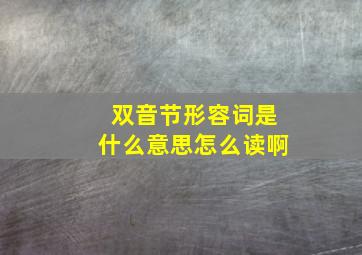 双音节形容词是什么意思怎么读啊