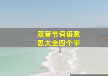 双音节词语意思大全四个字