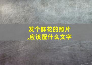 发个鲜花的照片,应该配什么文字