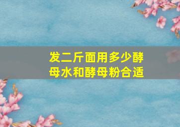 发二斤面用多少酵母水和酵母粉合适