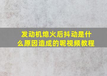 发动机熄火后抖动是什么原因造成的呢视频教程