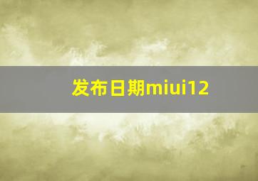 发布日期miui12