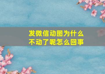 发微信动图为什么不动了呢怎么回事