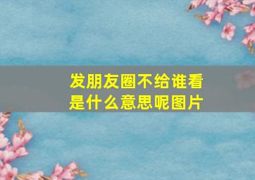 发朋友圈不给谁看是什么意思呢图片