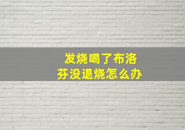 发烧喝了布洛芬没退烧怎么办