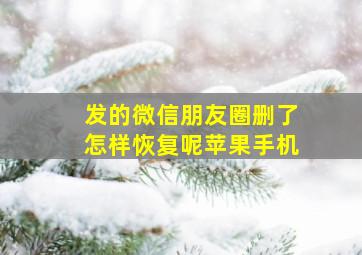 发的微信朋友圈删了怎样恢复呢苹果手机