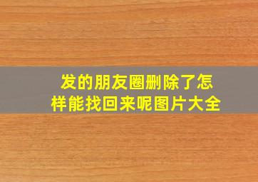 发的朋友圈删除了怎样能找回来呢图片大全