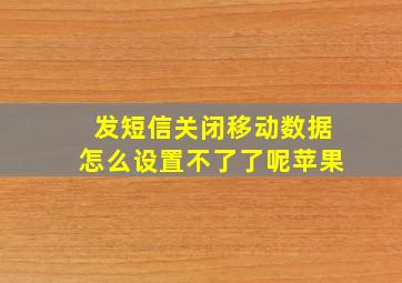 发短信关闭移动数据怎么设置不了了呢苹果