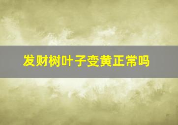 发财树叶子变黄正常吗