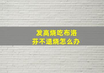 发高烧吃布洛芬不退烧怎么办