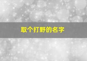 取个打野的名字