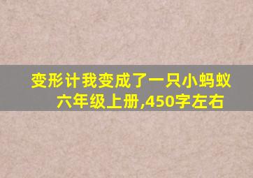 变形计我变成了一只小蚂蚁六年级上册,450字左右