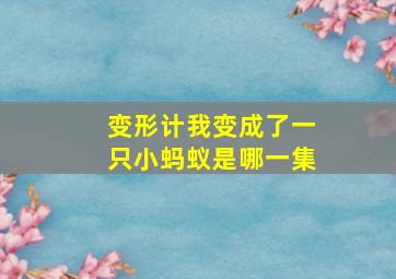 变形计我变成了一只小蚂蚁是哪一集