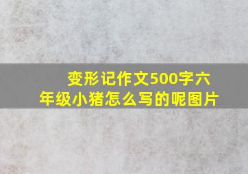 变形记作文500字六年级小猪怎么写的呢图片